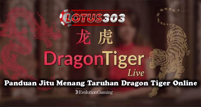 Panduan Jitu Menang Taruhan Dragon Tiger Online